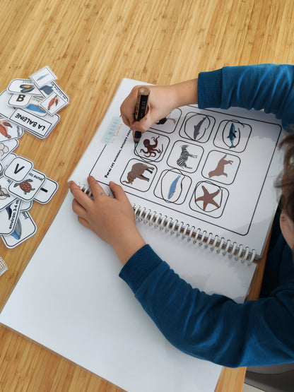 Image du livret d'activité sur les fonds marins - animaux marins