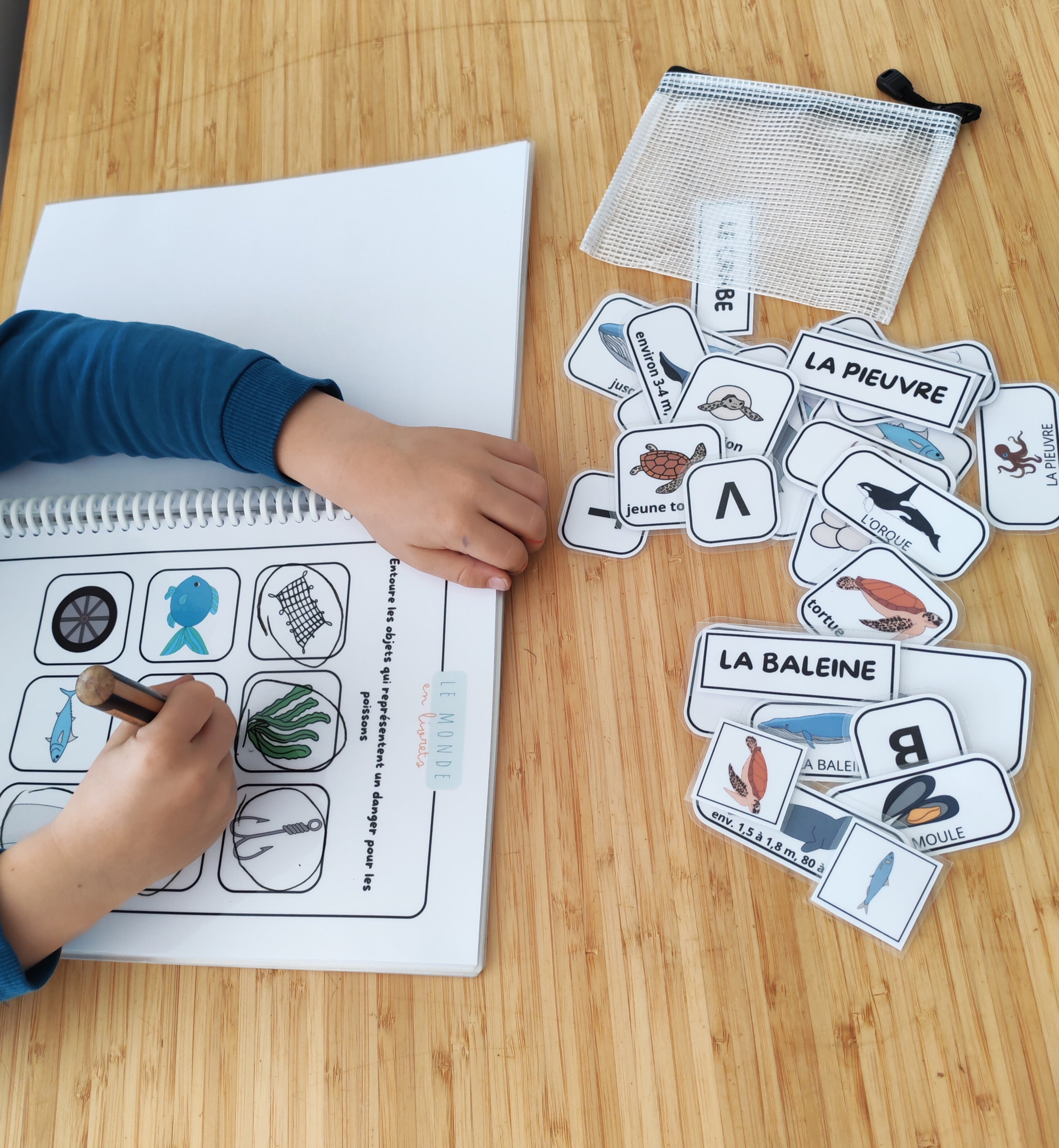 Image du livret d'activité sur les animaux marins