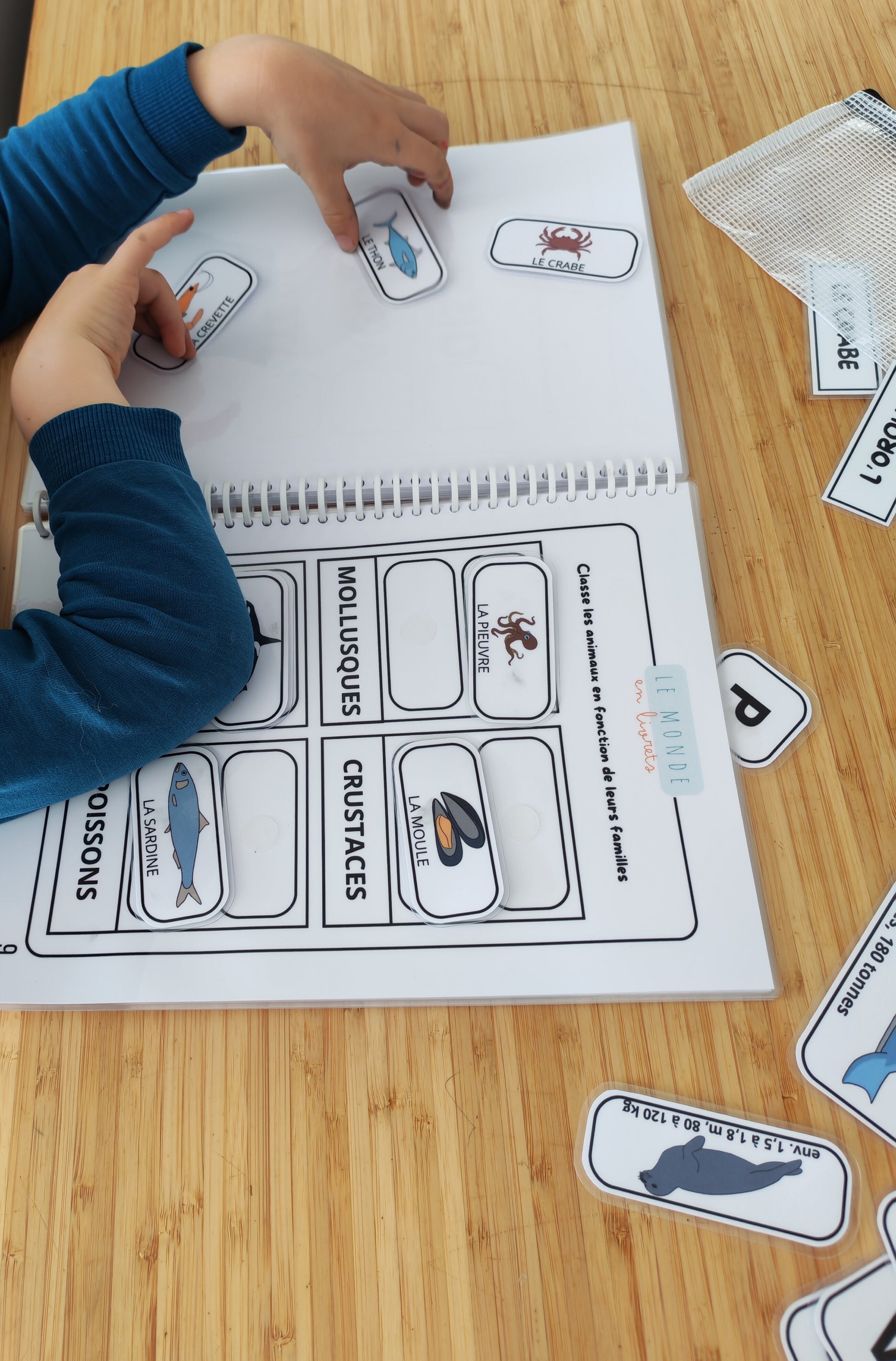 Image du cahier d'activité le Monde en livret thème les fonds marins pour les enfants avec le classement des animaux marins