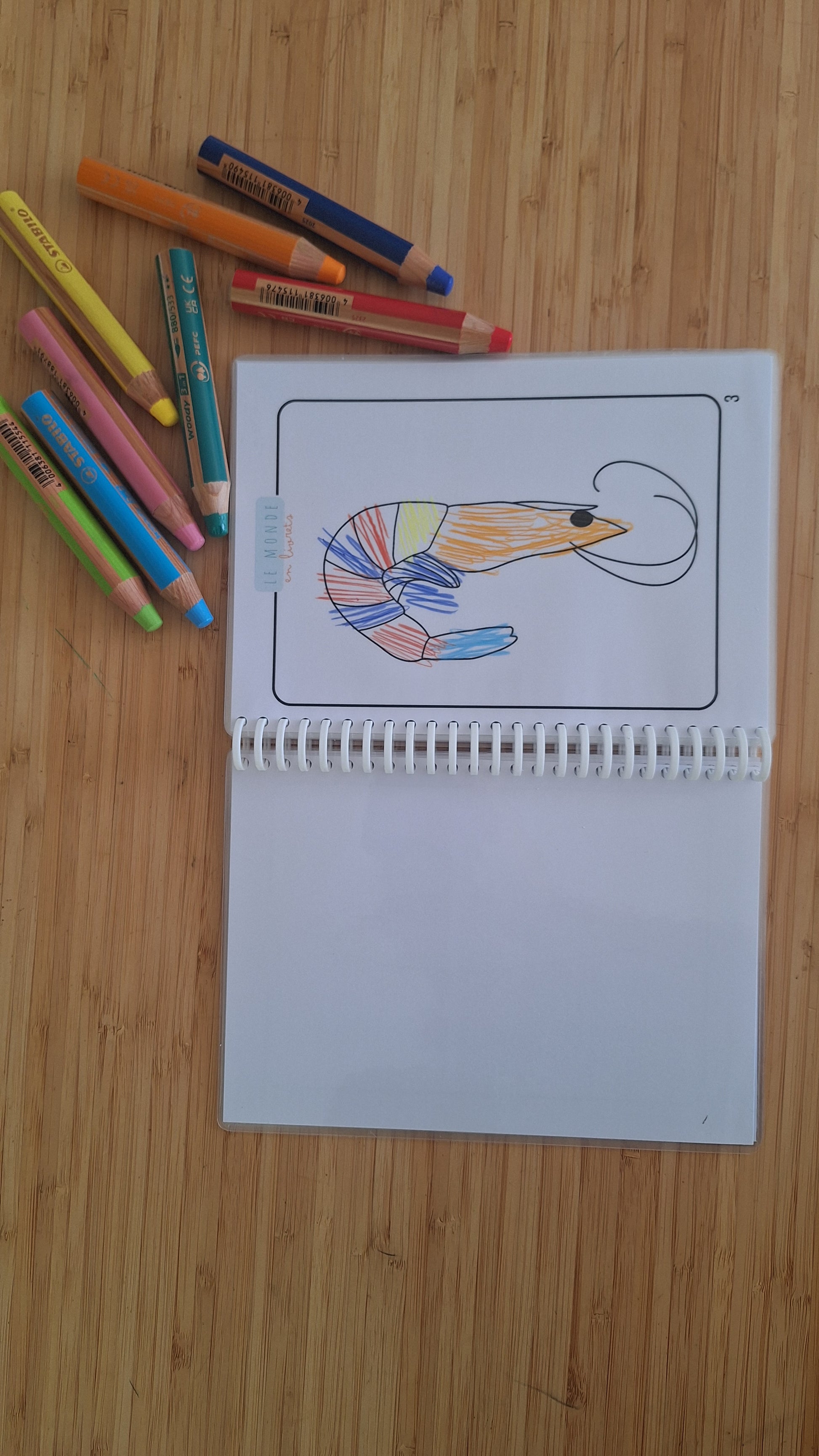 Image du livret de dessin sur le thème des fonds marins ainsi que les crayons woody stabilo