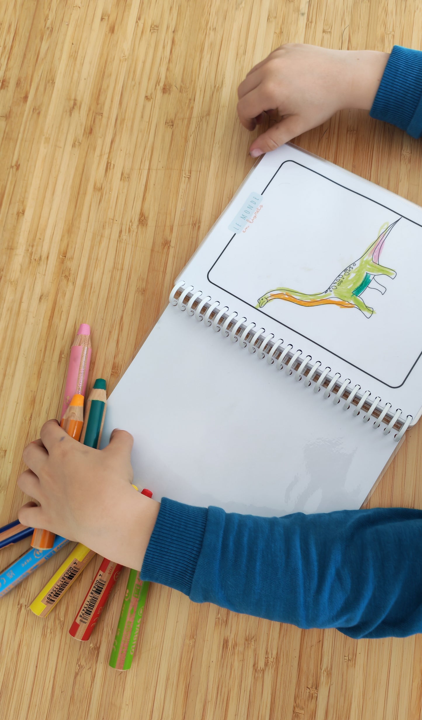 Image du cahier de coloriage sur le theme des dinosaures