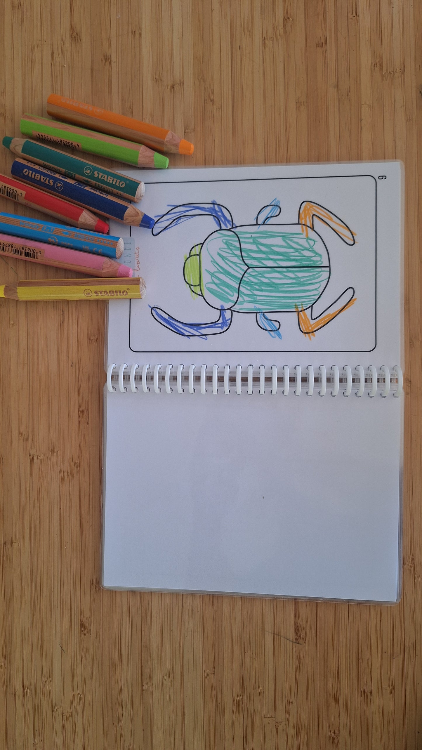 Image du coloriage des livret de coloriage sur le theme des pharaons réalise par le Monde en Livrets